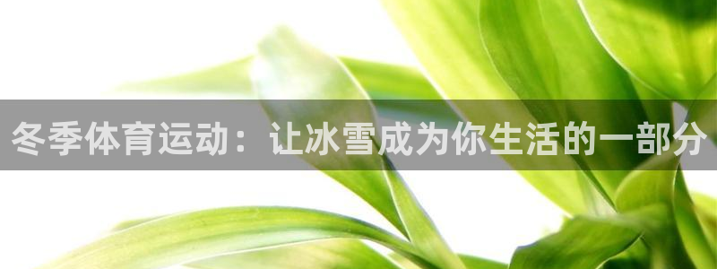 冬季体育运动：让冰雪成为你生活的一部分
