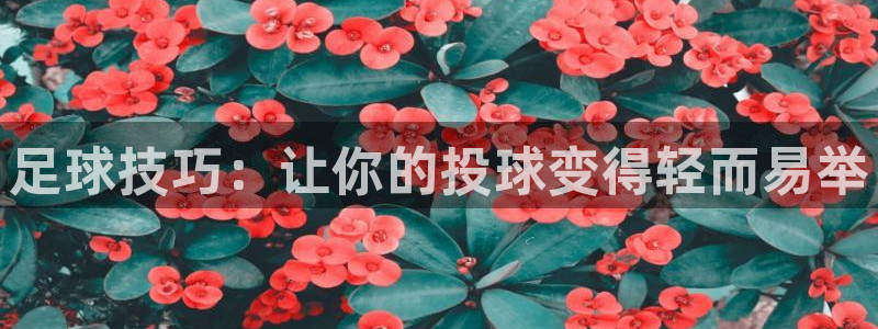 足球技巧：让你的投球变得轻而易举