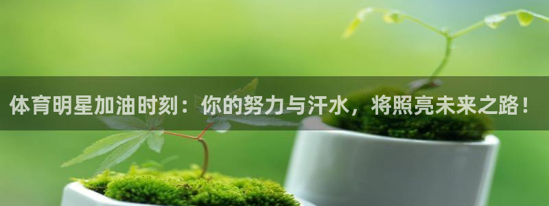 体育明星加油时刻：你的努力与汗水，将照亮未来之路！