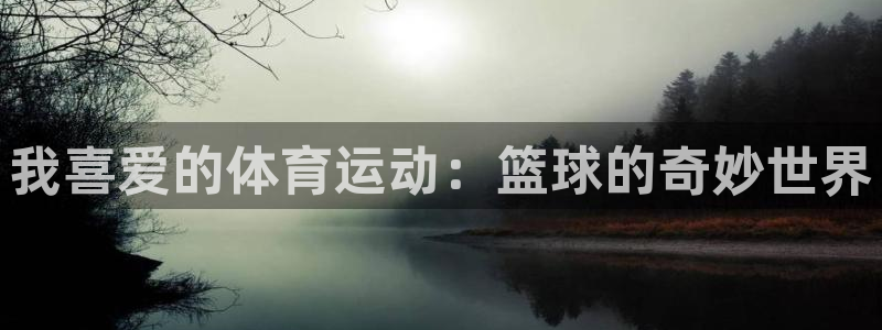 我喜爱的体育运动：篮球的奇妙世界